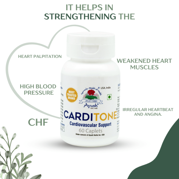 Cardiovascular Support Medicine