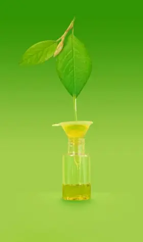 medicated oils