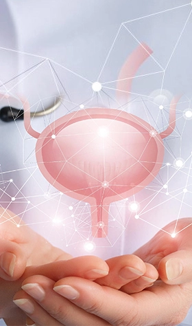 prostate health