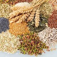Healthy Liver Foods that Cleanse and rejuvenate %count Healthy Liver Foods that Cleanse and rejuvenate