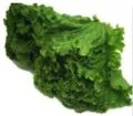 Healthy Liver Foods that Cleanse and rejuvenate %count healthy liver food spinach